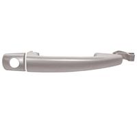 PRASCO PG7208008 Door Handle