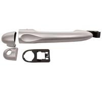 PRASCO RN0908017 Door Handle