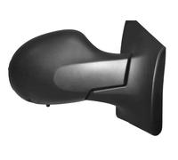 PRASCO RN3067303P Wing mirror
