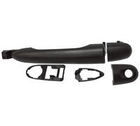 PRASCO RN8208211 Door Handle