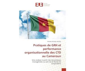 Pratiques de GRH et performance organisationnelle des CTD au Cameroun: Une analyse à partir des dynamiques managériales au sein de la Mairie de Sangmelima