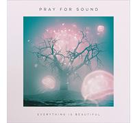 Pray For Sound - Everything Is Beautiful [VINYL]