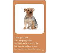 Prayer Card - I was Going Under - Wet Dog - Credit Card Size