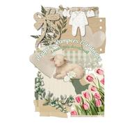 Prayers, Pampers & Patience: A Maternity Devotional