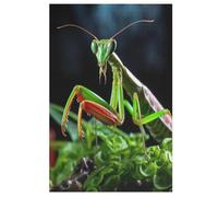 Praying Mantis 1000 Piece Jigsaw Puzzles for Adults | Wooden Jigsaw Puzzle | Challenging Game | Family Fun Jigsaws Puzzle for Adults Gifts Precise Interlocking (78×53cm)