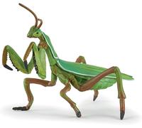 Praying mantis