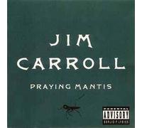 Praying Mantis