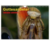 Praying mantis - Devilish lurkers UK-Version (Wall Calendar 2026 DIN A4 Landscape), CALVENDO 12 Month Wall Calendar