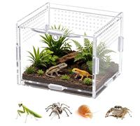 Praying Mantis Enclosure Acrylic Transparent Tank