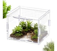 Praying Mantis Enclosure Escape-Proof Acrylic Breeding Tank