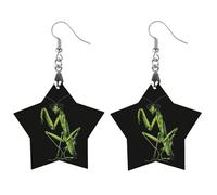 Praying Mantis in Glasses Novelty Women's Dangle Earrings Fashion Printed Wood Earring Drop Pendants Jewelry