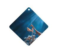 Praying Mantis Insect Car Air Freshener Decorative Hanging Aromatherapy Tablets for Car Trucks Rhombus
