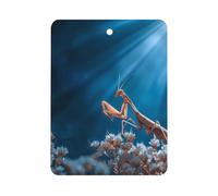 Praying Mantis Insect Car Air Freshener Decorative Hanging Aromatherapy Tablets for Car Trucks Square