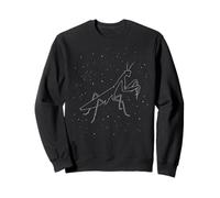 Praying Mantis Insect Constellation Animal Line Art Geometri Sweatshirt
