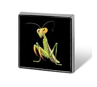 Praying Mantis Insects Printed Square Badge Brooch Pins Button Pin Lapel Tie Decoration for Men Women Backpack