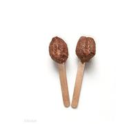 Praying Mantis Ootheca Egg Case on a Wooden Stick Attached(Two Egg Cases) - Imitation of Nature,Convenient to Place in Incubation Cups, in Terrarium Boxes, in Gardens, in Grass, in the Woods