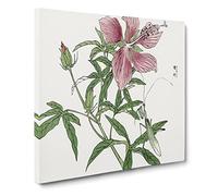 Praying Mantis & Pink Flower by Morimoto Toko Canvas Print | Gallery Wrapped 30mm Frame Wall Art | 20x20 inches | Ready to Hang | Modern Floral Picture | Living Room Bedroom Lounge Office