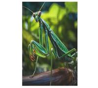 Praying Mantis Puzzle Adults And Teenagers 1000 Pieces Wooden Jigsaw Educational Game Toy Family Decoration 78×53cm