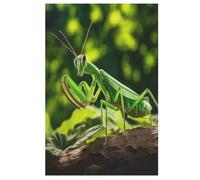Praying Mantis Wooden Jigsaw Puzzles for Adults 1000 Pieces Jigsaw Puzzle For Kids Age 12 Educational Game Toys 78×53cm