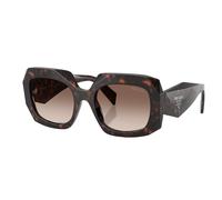 Prb23S Sunglasses - unisex - Prada - Sunglasses - Brown - 54 MM - Accessories 54 MM