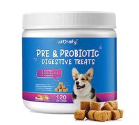 Pre and Probiotics for Dogs - Probiotic Dog Chews Support Digestive Health, Gut Health, Itchy Skin, Yeast Balance, Allergies, Immune Health - Duck Flavor - 120 Soft Chews - All Ages All Breeds