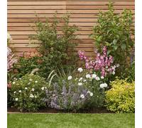 Pre-Designed English Cottage Garden Border Starter Kit 9M X 90Cm Garden On A Roll