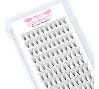 Pre Made Fan Eyelash Extensions 10D-D-0.07-15 Pointy Base Premade Fans Eyelash Extension 0.05 0.07 0.10 Lash Extensions Pre Fanned Russian Volume Lashes C D curl(10D-D-0.07-15)
