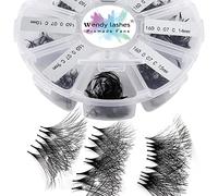 Pre Made Fan Eyelash Extensions 16D 0.07mm C Curl 500 Fans 9-16mm Mixed Tray Premium Premade Fans Volume Russian Lash Extensions Handmade Promade Loose Fans Lash(500-16D-0.07-C-916)