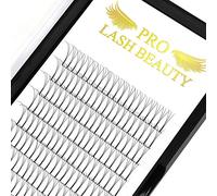 Pre Made Fan Eyelash Extensions 3D-D-0.10-8-15mix Long Stem Pre Fanned Russian Volume Lashes 0.07 0.10 Premade Fans Eyelash Extension C D curl Lash Extension 3D-D-0.10-8-15mix