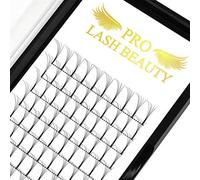 Pre Made Fan Eyelash Extensions 4D-D-0.07-13 Long Stem Pre Fanned Russian Volume Lashes 0.07 0.10 Premade Fans Eyelash Extension C D curl Lash Extension 4D-D-0.07-13