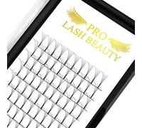 Pre Made Fan Eyelash Extensions 4D-D-0.10-8-15mix Long Stem Pre Fanned Russian Volume Lashes 0.07 0.10 Premade Fans Eyelash Extension C D curl Lash Extension 4D-D-0.10-8-15mix