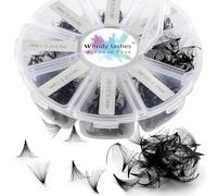 Pre Made Fan Eyelash Extensions 500 Fans 24D 0.07mm D Curl 9-16mm Mixed Premade Lash Fans Volume Russian Lash Extensions Handmade Promade Loose Fans Lash(500-24D-0.07-D-916)