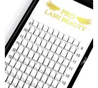 Pre Made Fan Eyelash Extensions 5D-D-0.07-14 Long Stem Pre Fanned Russian Volume Lashes 0.07 0.10 Premade Fans Eyelash Extension C D curl Lash Extension 5D-D-0.07-14
