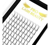 Pre Made Fan Eyelash Extensions 6D-D-0.07-8 Long Stem Pre Fanned Russian Volume Lashes 0.07 0.10 Premade Fans Eyelash Extension C D curl Lash Extension 6D-D-0.07-8