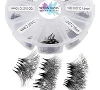 Pre Made Fan Volume Eyelash Extensions 10D 0.07mm C Curl 500 Fans 9-16mm Mixed Tray Premade Fans Loose Volume Lash Extensions Handmade Promade Loose Fans Lash(500-10D-0.07-C-916)