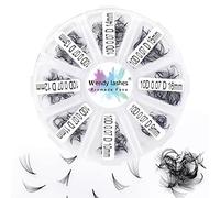 Pre Made Fan Volume Eyelash Extensions 10D 0.07mm D Curl 500 Fans 9-16mm Mixed Tray Premade Fans Loose Volume Lash Extensions Handmade Promade Loose Fans Lash(500-10D-0.07-D-916)