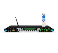 Pre-stage Reverb Effector, KTV Digital Pre-stage Effector, Anti-howling Audio Processor, Bluetooth/USB/optical Fiber/coaxial/lotus, with Remote Control, For Karaoke, Performance, Wedd