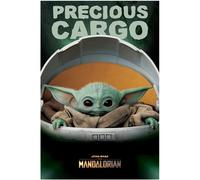 Precious Cargo Maxi - Poster - multicolored - Onesize - gid://shopify/Metaobject/237909737709 Onesize