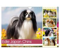 Precious Japan Chins. Delicate hearts from the Far East UK-Version (Wall Calendar 2026 DIN A4 Landscape), CALVENDO 12 Month Wall Calendar