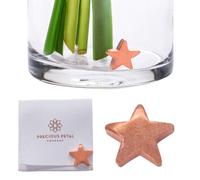 Precious Petal Co. Flower Food Alternative for Fresh Cut Flowers. Copper Charm Keeps Flower Water Clean and Clear. Just Place It in the Vase, Reusable Star 2