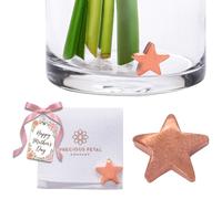 Precious Petal Co. Flower Food Alternative for Fresh Cut Flowers. Copper Charm Keeps Flower Water Clean and Clear. Just Place It in the Vase, Reusable