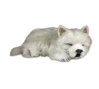 Precious Petzzz - Westie (2nd Edition)