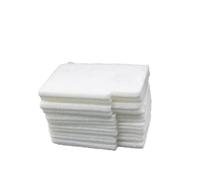 PrecisGear 10PCS Ink Absorber Pad Sponge Compatible With DCP J100 J105 J132W J152W J172W T300 T500W T700W MFC J200 J245 T800W LEK119001