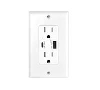 PrecisGear 4.2A Dual USB Port Type C Wall Outlet Power Socket Receptacle White Plate Compatible With Devices(5.8A)