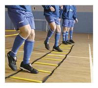 Precision 4M X 0.5M Flat Agility Speed Slide Ladder Kit Indoor Weighted Footwork Training