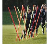 Precision Boundary Poles (Set of 12) Set