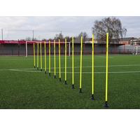 Precision Slalom Pole 12 Units Blue 170 cm