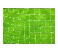 Precision Football Goal Nets 2.5Mm Knotted (pair) (white, 12' X 6')