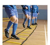 Precision Indoor Agility Ladder 4 M