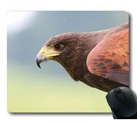 (Precision lock edge mouse pad) Harris Hawk Hawk Harris Bird Predator Hunter Gaming mouse pad mouse mat for mac or computer